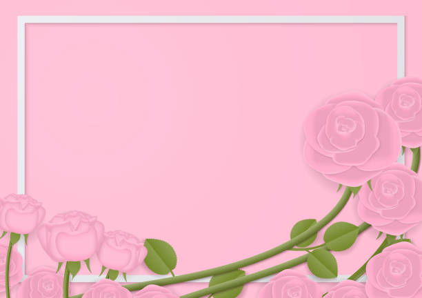 ilustrações, clipart, desenhos animados e ícones de videira rosa cor-de-rosa e fundo branco do quadro - cute decoration invitation vine