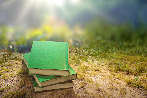 Book stack on the field. World Book Day Concept