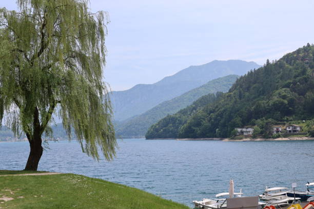 istock Summer in the Italian Alps 1481316740