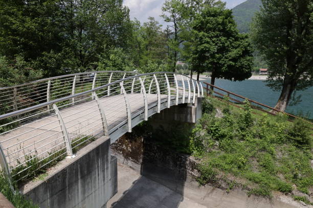 istock Summer in the Italian Alps 1481317275