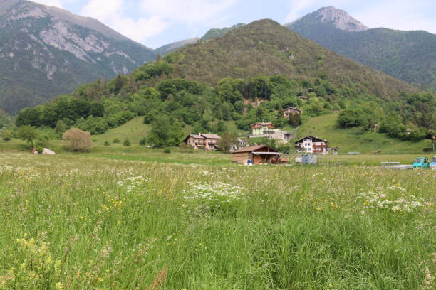 istock Summer in the Italian Alps 1481317354