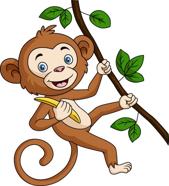 illustrations, cliparts, dessins animés et icônes de mignon singe dessin animé suspendu et tient une banane dans une branche d’arbre - monkey tropical rainforest tree cartoon