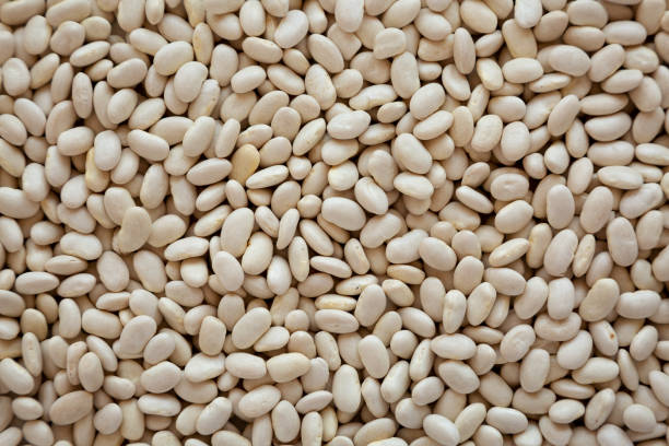 istock Raw Organic Dry White Beans Background 1481320484