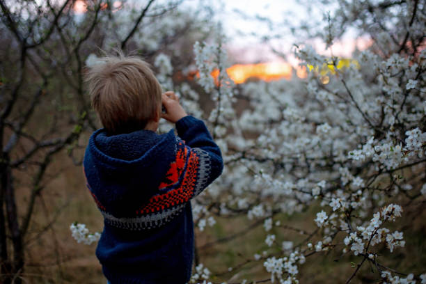 istock Child, watching amazing sunset with binoculars 1481321052