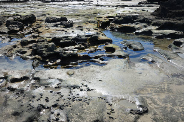 istock Bsckground of lave stone 1481323294