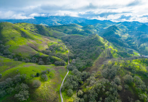 wallnut creek kalifornia panorama lotnicza. podmiejskie miasto i zielone wzgórza o zachodzie słońca - wallnut creek zdjęcia i obrazy z banku zdjęć