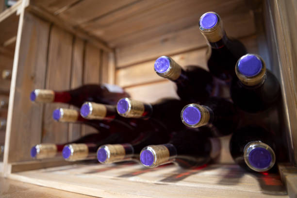 istock Bottles of wine in a winery 1481325329