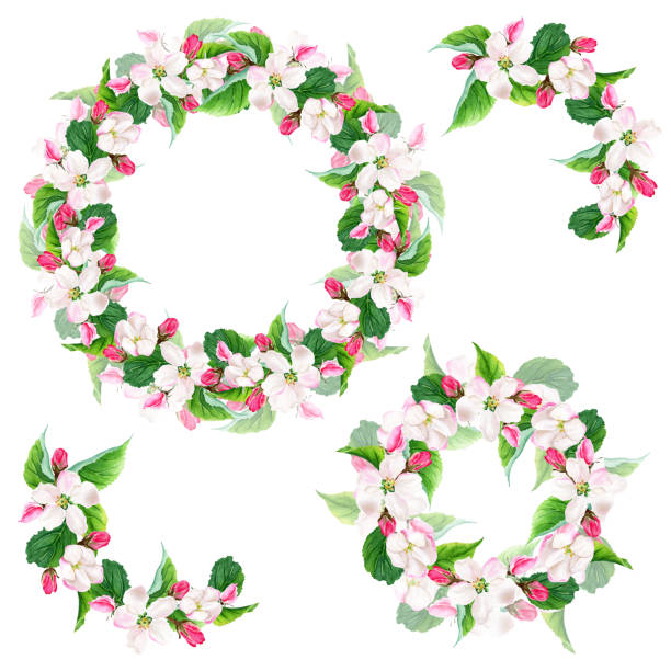 istock Apple tree blooming wreaths and elements set. Watercolor illustration isolated on white 1481331104