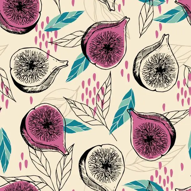 Vector illustration of Modern botanical fig fruit surface design.