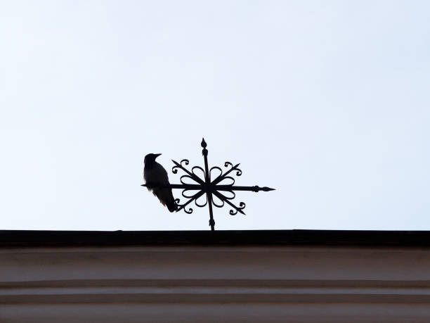 Metal weather vane in the shape of a rooster on the roof of a house against a blue sky and pines