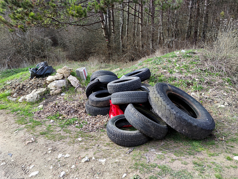 garbage and old car tires in a pine forest near the road.