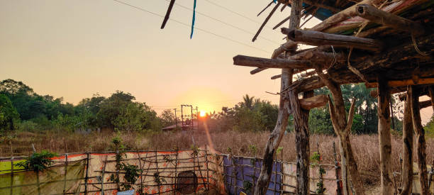 istock Sunset shot from the farming fields in Konkan 1481342065