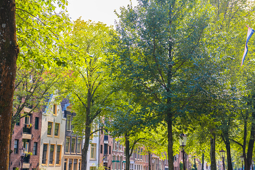 Amsterdam Groenburgwal with green trees and a canal houses in the background.