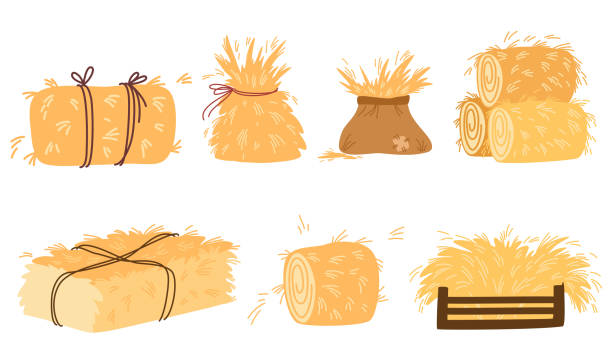 0275_haustacks_set Haystacks collection. Flat yellow haystacks, round balls of wheat straw for feeding farm. Bales and stacks of hay. Farming, agriculture, countryside concept. Vector cartoon illustration stacking food containers stock illustrations