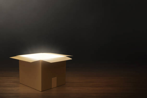 istock Mystery cardboard box on dark background 3d illustration 1481346703