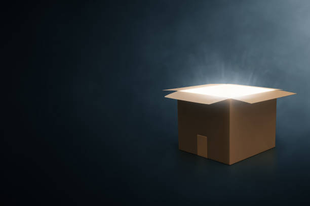 istock Mystery cardboard box on dark background 3d illustration 1481346780