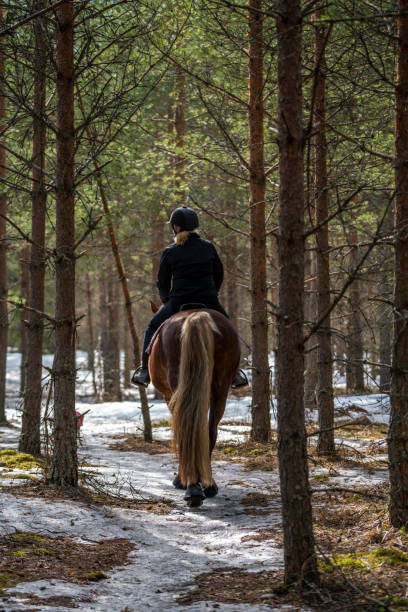 istock Woman horseback riding in forest trail 1481346911