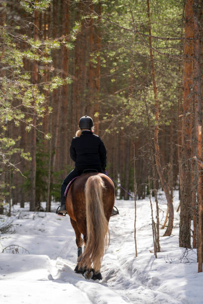 istock Woman horseback riding in forest trail 1481346940