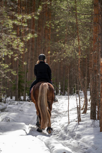 istock Woman horseback riding in forest trail 1481346966