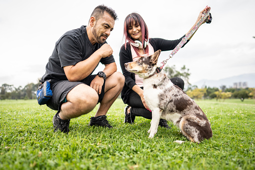 Pet owners teaching the dog sit at public park