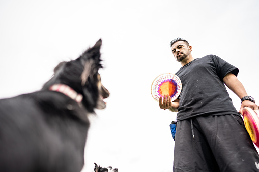 Animal trainer man teaching tricks for dog at public park