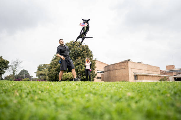 Animal trainer man teaching tricks for dog at public park