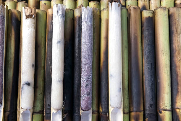 istock Glutinous rice roasted in bamboo joints. 1481348619