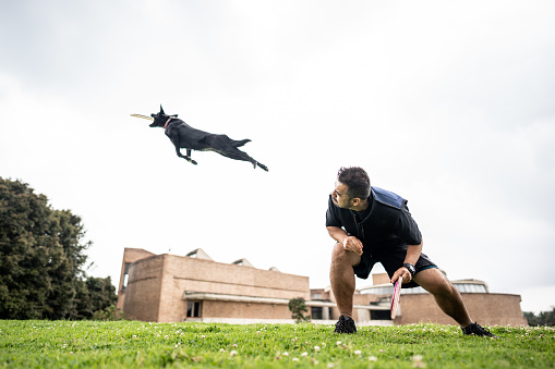 Animal trainer man teaching tricks for dog at public park