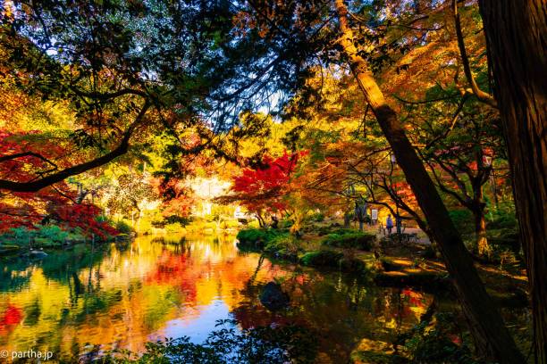 istock Autumn Colours in Narita 1481349696