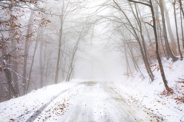 The road in winter goes through a foggy forest