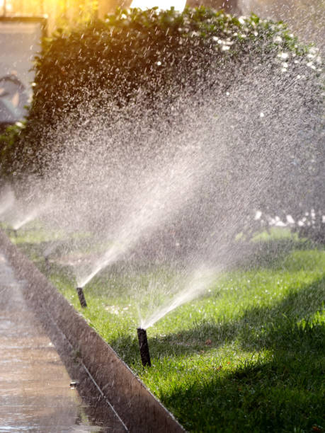 pionowy obraz działania automatycznego systemu nawadniania trawnika na ulicy w mieście. - sprinkler park summer spray zdjęcia i obrazy z banku zdjęć