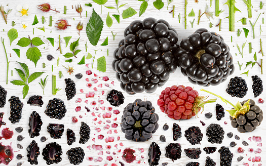 Abstract background made of Blackberry fruit pieces, slices and leaves on wooden background.