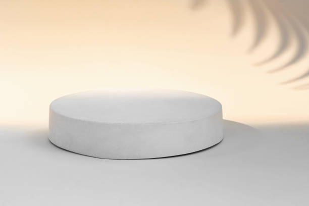 istock Podium for Cosmetics, Soap, Items Presentation. Abstract Minimal Geometric Sphere. Cylinder one Form. Soft Shadow. Scene to Show Product, Object. Showcase Display Case. Palm Leaf. Nude Tones Ad Stand 1481360761
