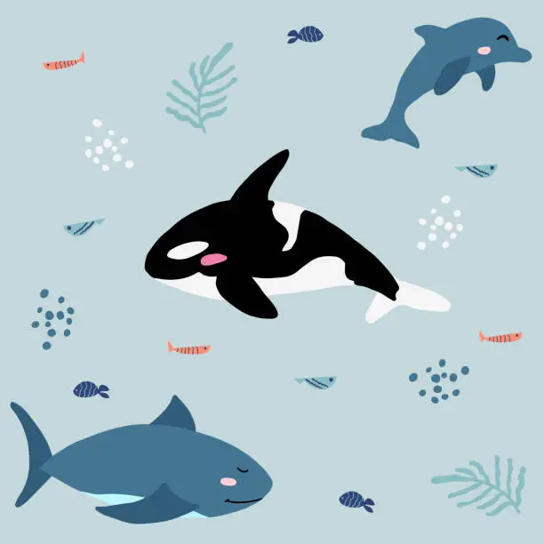 Vector illustration of Cute marine background with orca, dolphins and shark. Blue pattern illustration of ocean animals for children.