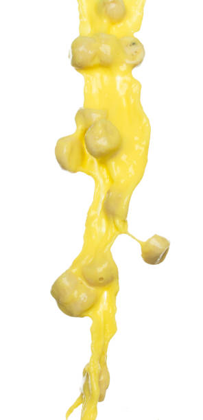 istock Banana juice flying fall down, yellow banana chopped slice juice wave explode. Yellow paint color splash throwing in Air. White background Isolated high speed shutter, throwing freeze stop motion 1481361641
