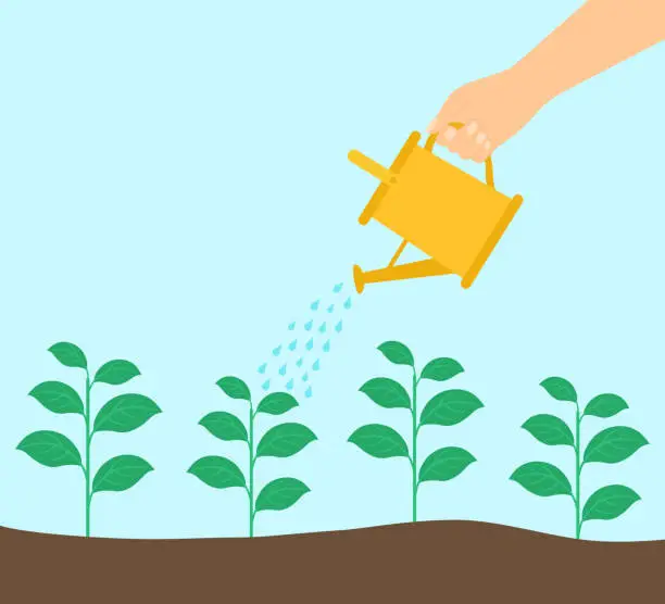 Vector illustration of Hand Holding A Watering Can And Watering The Plants In The Ground