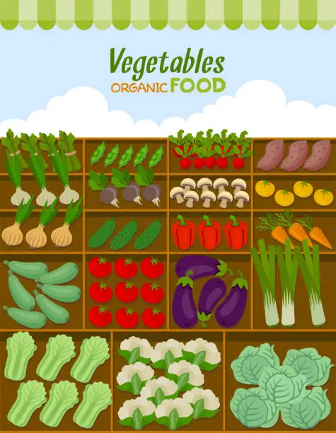 Vector illustration of Farm shop. Local stall market. Selling vegetables.