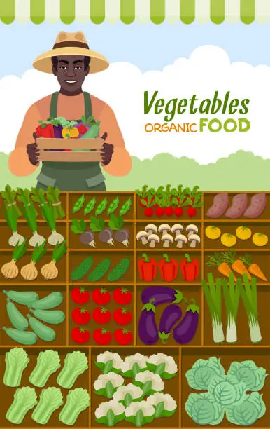 Vector illustration of Farm shop. Local stall market. Selling vegetables. African American Farmer or gardener in a hat holding a wooden box filled with fresh vegetables. Organic Food.