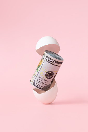 Hatched egg and money in egg shell. Saving money and investment concept.