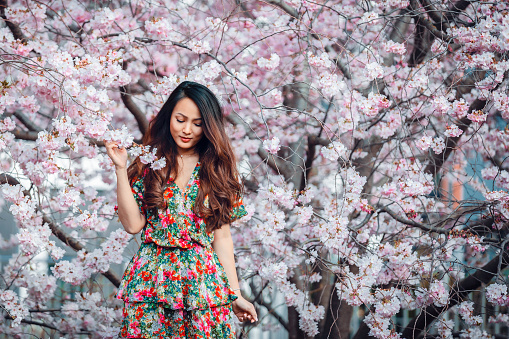 Young Asian woman, in a floral pattern dress, in front of blossoming cherry tree in the spring time . High quality photo