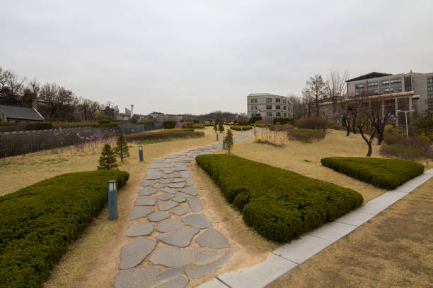 istock Womans University in the Daehyeon-dong, South Korea 1481368876