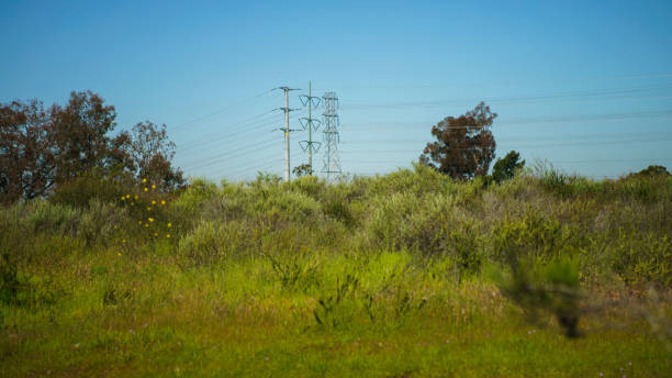 istock Scenic view of high voltage power pylons and cables 1481369044