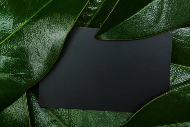 istock Blank black card in the middle for text with border from green leaves 1481370319
