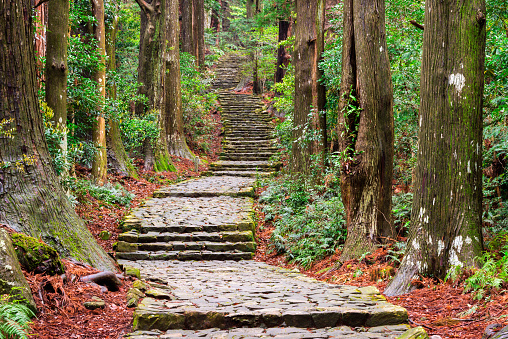 Kumano Kodo at Daimon-zaka, a sacred trail designated as a UNESCO World Heritage site in Nachi, Wakayama, Japan.