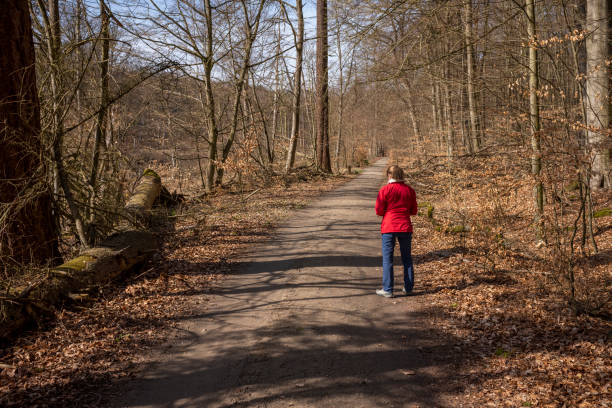 istock Single Active Senior Woman Hike Nature Forest 1481372479