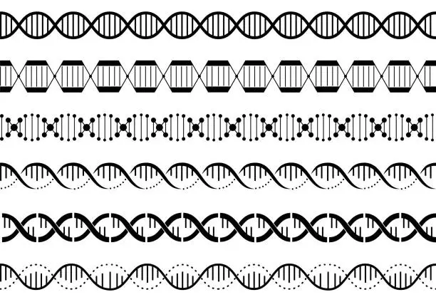 Vector illustration of Dna spirals seamless pattern. Genetics helix borders, gene chains graphic elements. Simple biological waves, genes structures decent vector set