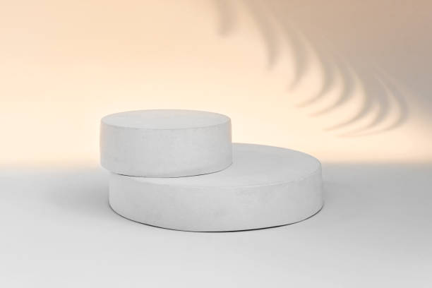 istock Podium for Cosmetics, Soap, Items Presentation. Abstract Minimal Geometric Sphere. Cylinder Two Forms, Soft Shadow. Scene to Show Product, Object. Showcase Display Case. Palm Leaf. Nude Tones Ad Stand 1481377473