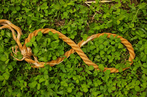 Endless symbol made from natural rope on a green clover background.