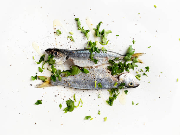 Fish, Marinated, Sardine, Seafood, Antioxidant, Food and drink, Anchovy, Passover, Marinated
