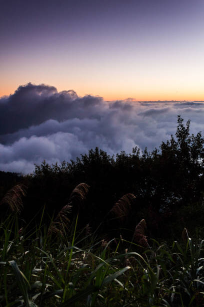 istock Holiday in Taiwan - Sunset on top Alishan 1481383610